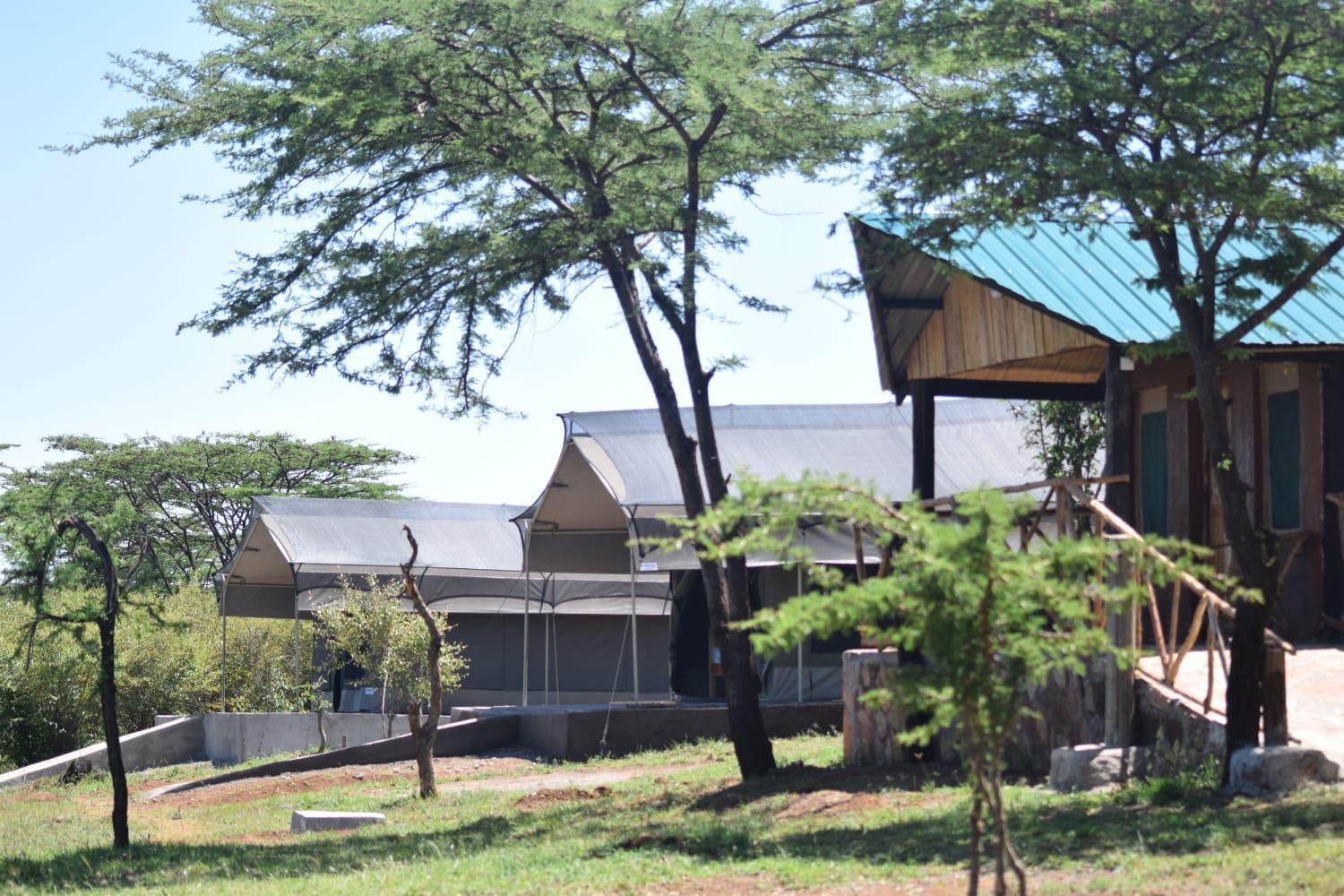 Maasai Mara Safari Camp In Kenya Acomodação com café da manhã Sekenani Exterior foto