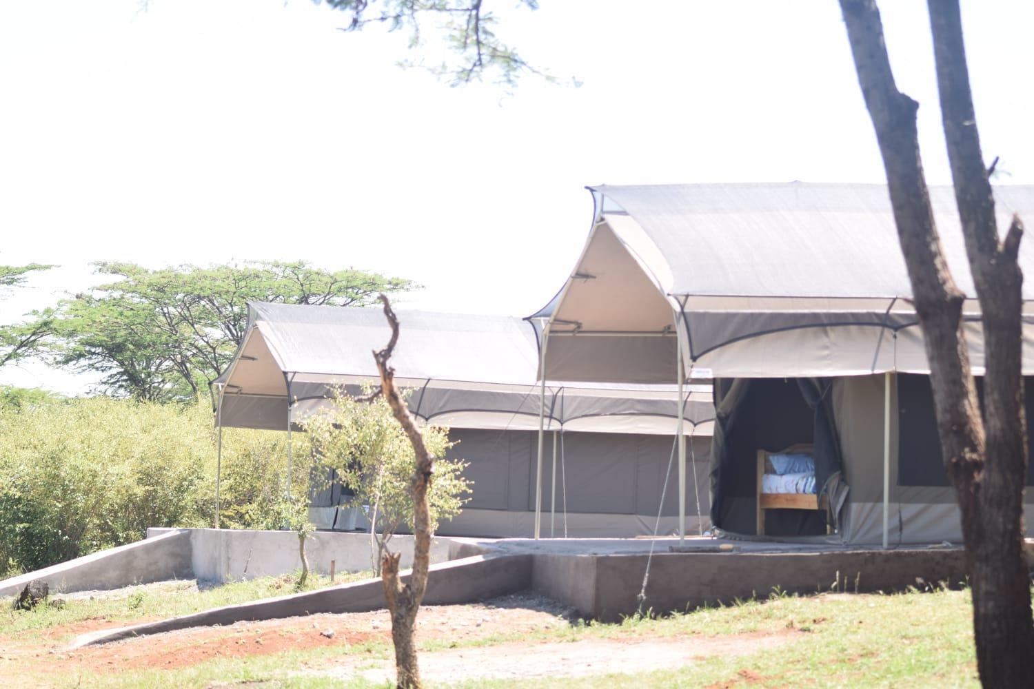 Maasai Mara Safari Camp In Kenya Acomodação com café da manhã Sekenani Exterior foto