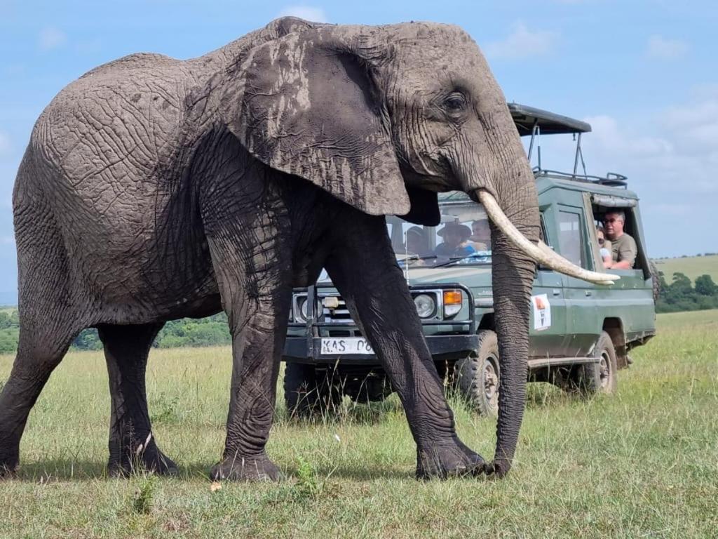 Maasai Mara Safari Camp In Kenya Acomodação com café da manhã Sekenani Exterior foto